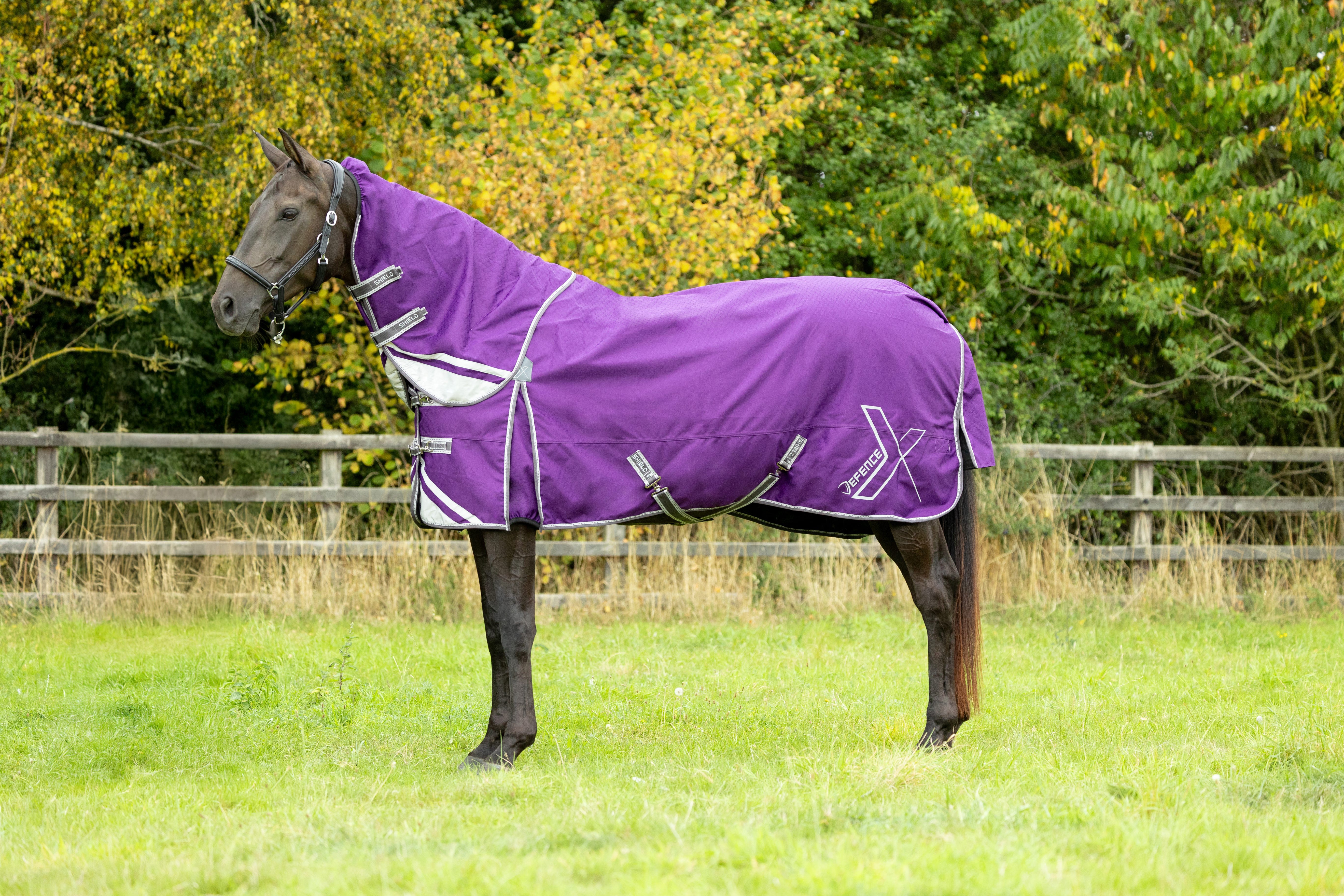 DefenceX Shield 100g Turnout Rug with Detachable Neck image 1